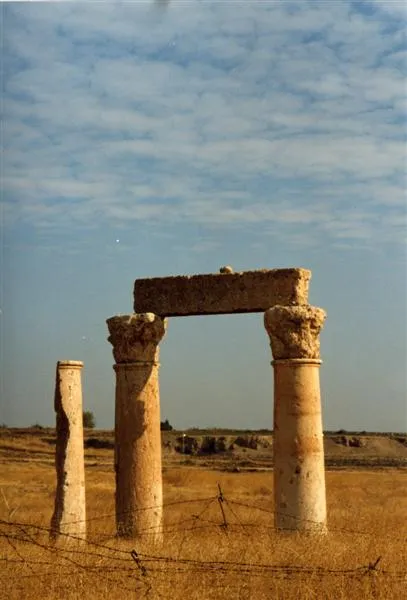 Standing columns among the ruins of ancient Nisibis